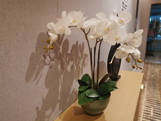 Others 5, Manju Prestige Hotel (Hangzhou Liangzhu Ancient City Ruins), Hangzhou