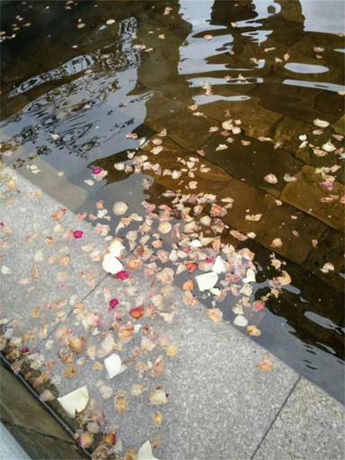 Others 5, Qianjiang Hot Spring Hotel, Meizhou