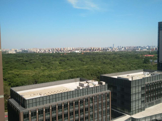 Others 4, Wellman Boutique Hotel (Shenyang Lingxi subway station store), Shenyang