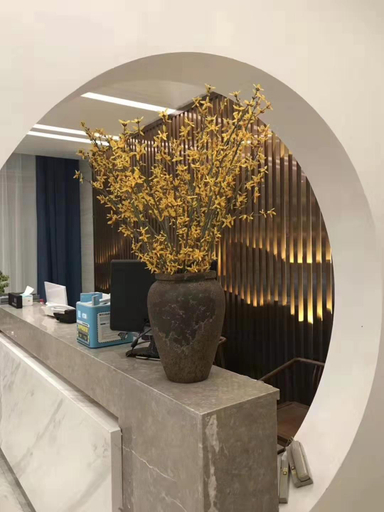 Others 5, 안칭 룽샨 란위에 호텔(Anqing Longshan Lanyue Hotel), Anqing