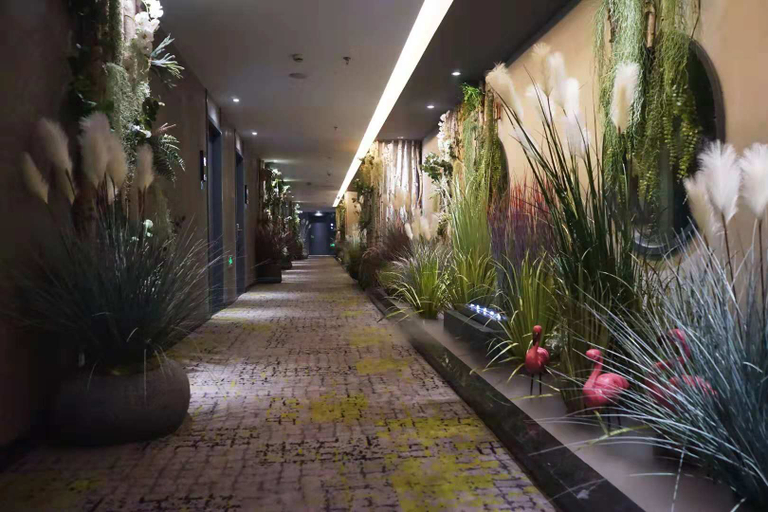 Others 5, Starway Hotel Urumqi Airport, Ürümqi