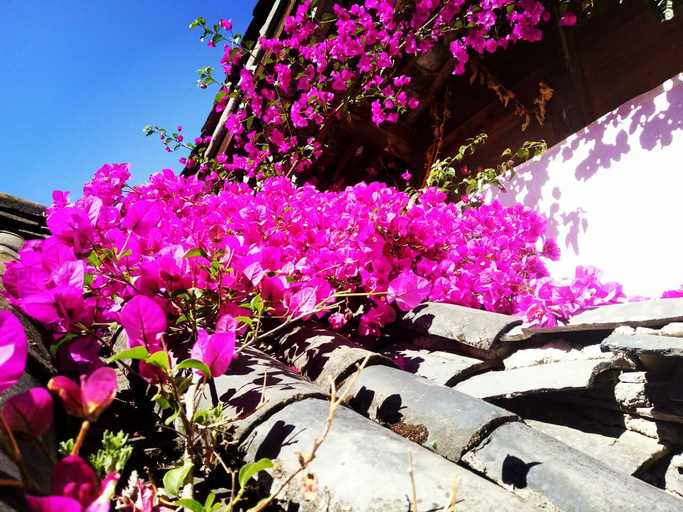 Exterior & Views 1, Yuhuai Renjia Inn, Lijiang