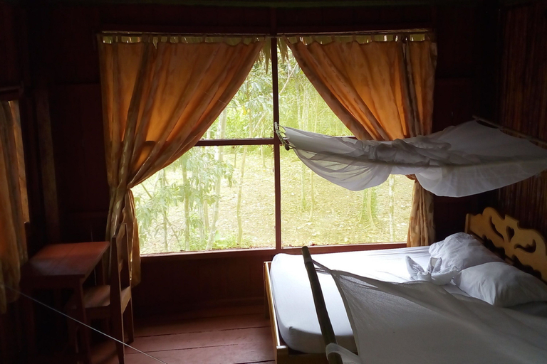 Bedroom 2, Antares Amazon Lodge, Loreto