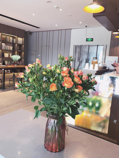 Others 5, HanTing Hotel (Nanjing Baixia High-tech Industrial Park), Nanjing