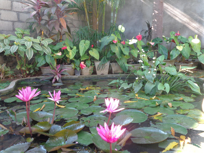 Others 4, Hansa Holiday Homes, Thamankaduwa