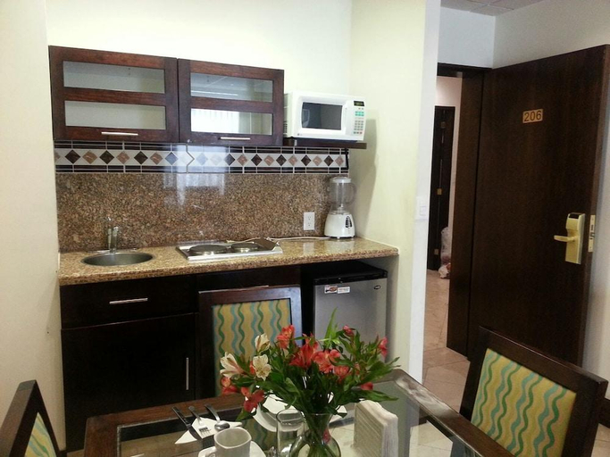 Others 3, Suites Melchor Ocampo 445, Mexico City
