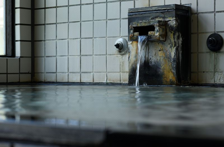 Sport & Beauty 5, Okina Ryokan, Fukushima