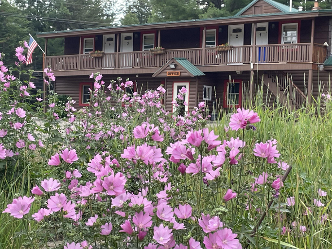 Exterior & Views, Mountain View Motel & Campground, Franklin
