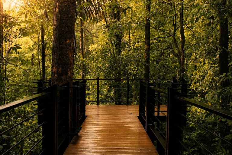Room 3, Villa Colibr - Nuak Jungle, San Carlos