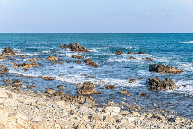 Others 5, Sinpohang TITF Caravan, Pohang