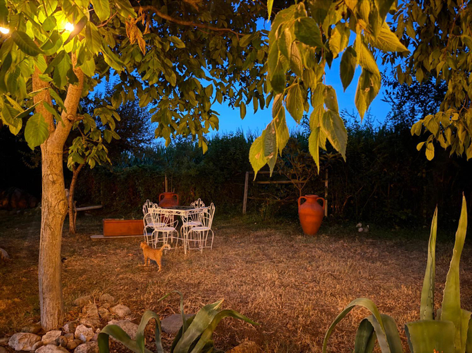 Others 5, B&B La Cascina di Alice, Mantua