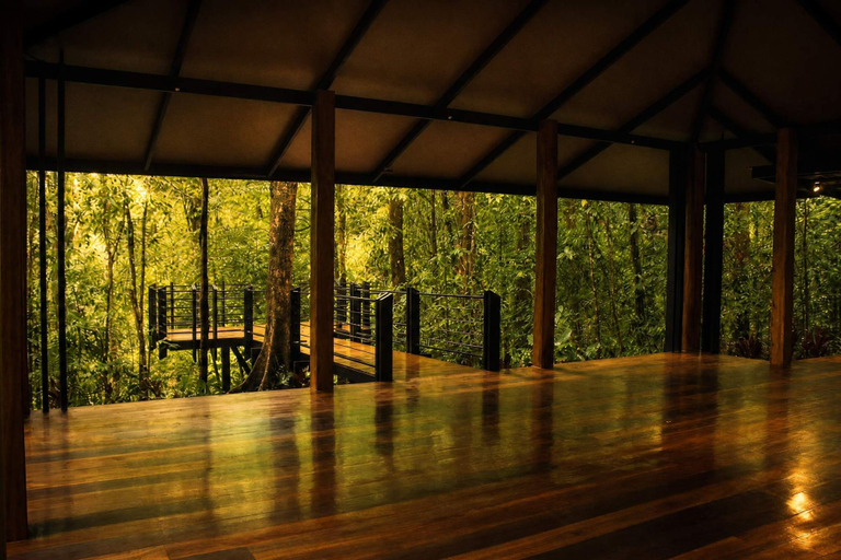 Room 4, Villa Colibr - Nuak Jungle, San Carlos