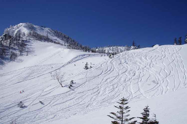Others 5, Kindai Pension, Kusatsu