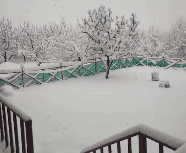 Property grounds 3, Sawariya Cottage, Kullu