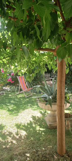 Others 5, agreables chambres d'hotes pres du centre ville avec jardin, Sarthe