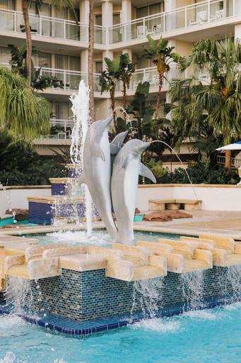 Sport & Beauty 2, Reefhouse Resort & Marina, Monroe