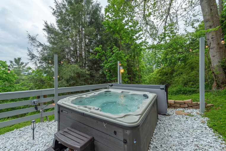 Room 4, 25 Min to Asheville Game Room Fire Pit Hot Tub, Buncombe