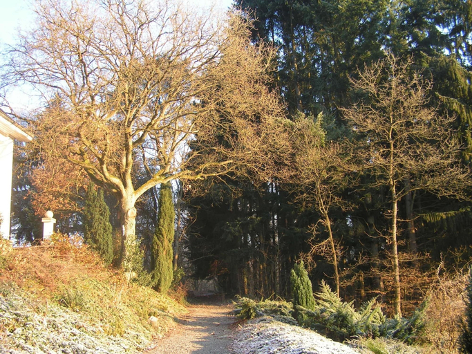 Others 5, Cottage Near Durbuy Forest, Luxembourg
