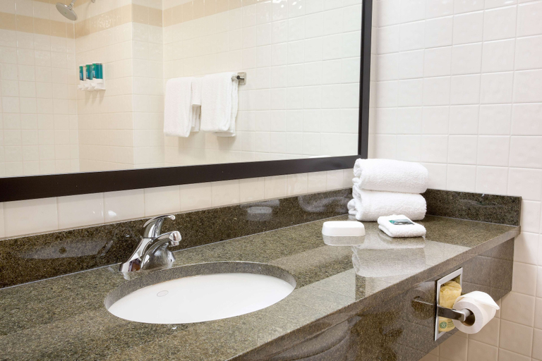Bathroom 4, Drury Inn & Suites Austin North, Travis