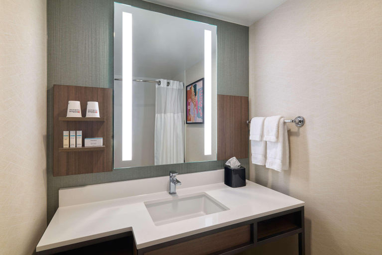 Bathroom 3, Hilton Garden Inn Bloomington, IN, Monroe