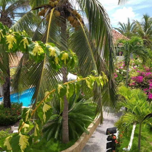 Property grounds 5, Italcaribe Village, Antolín del Campo