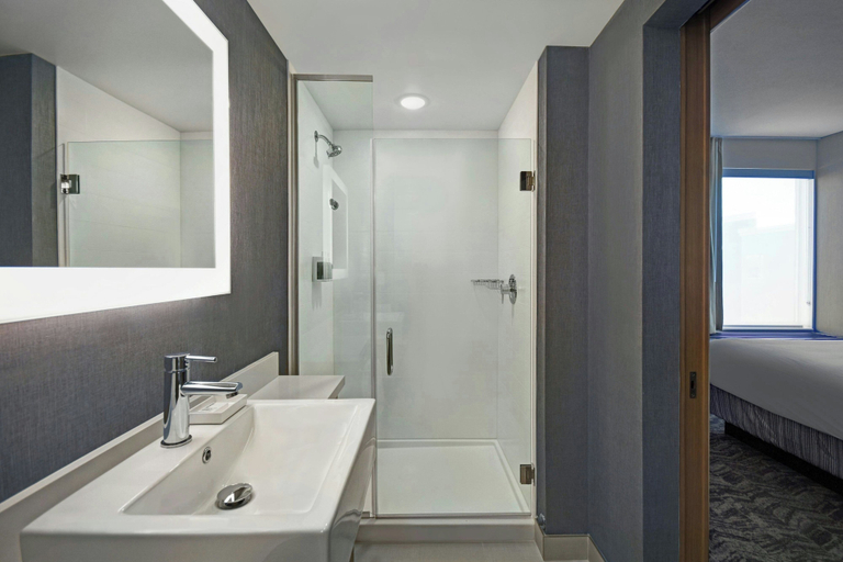 Bathroom 4, SpringHill Suites by Marriott St. Paul Arden Hills, Ramsey