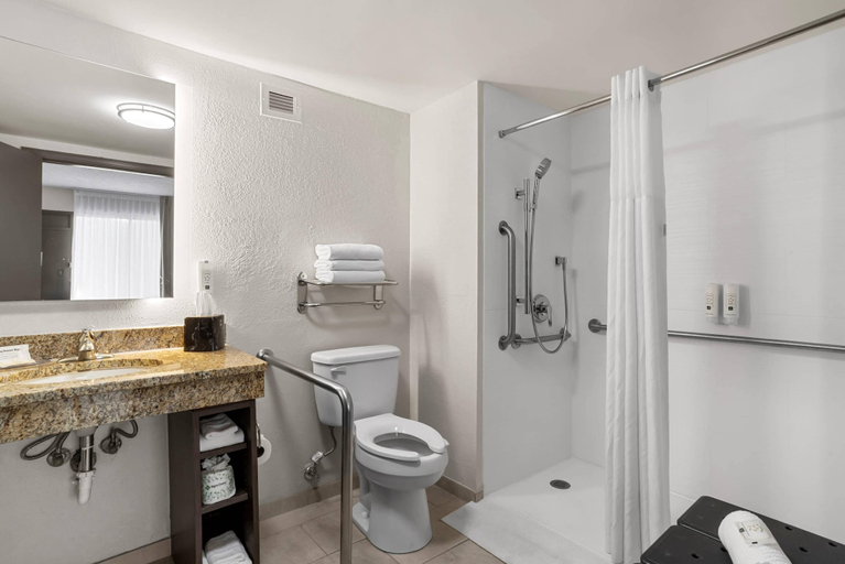 Bathroom 4, Quality Inn Jonesville I-77, Yadkin