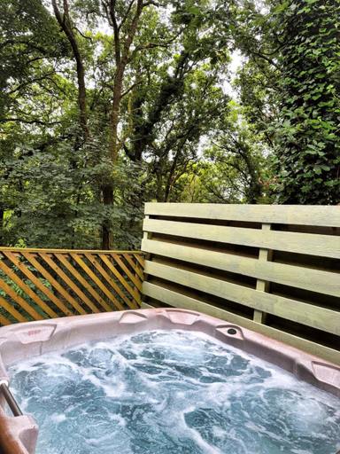 Sport & Beauty 5, Goldcrest 4 Hot Tub, Carmarthenshire