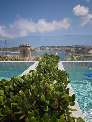 Sport & Beauty 2, Ursulino Valletta