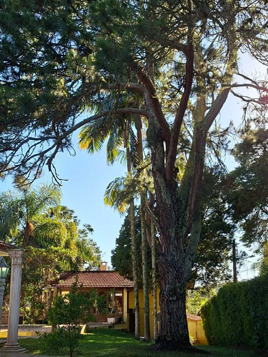 Property grounds 5, Casa Manacá, Teresópolis