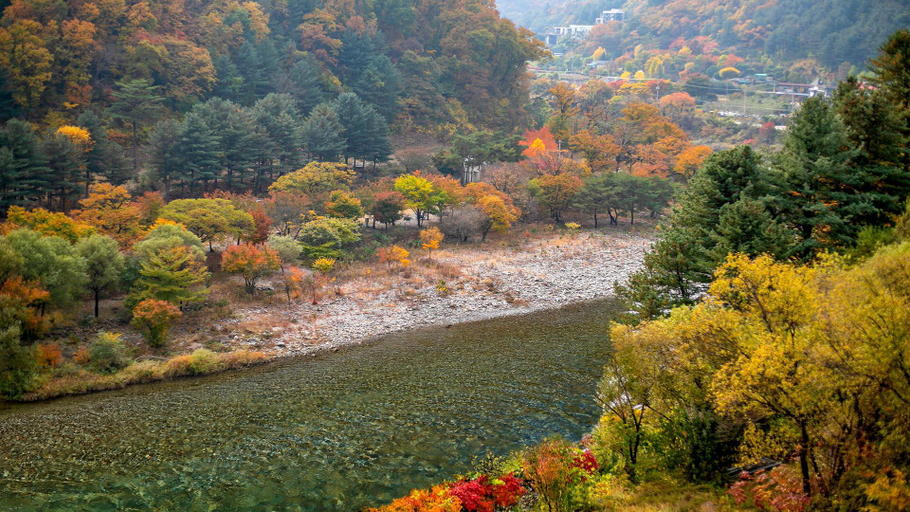Others 5, gapyeong newcastle pension, Gapyeong