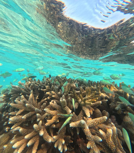 3, Praveg Atoll's Thinnakara Lakshadweep, Lakshadweep