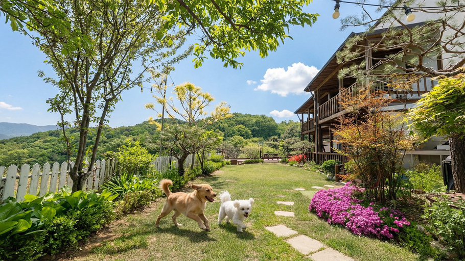Exterior & Views 1, Gapyeong Art Pension, Gapyeong
