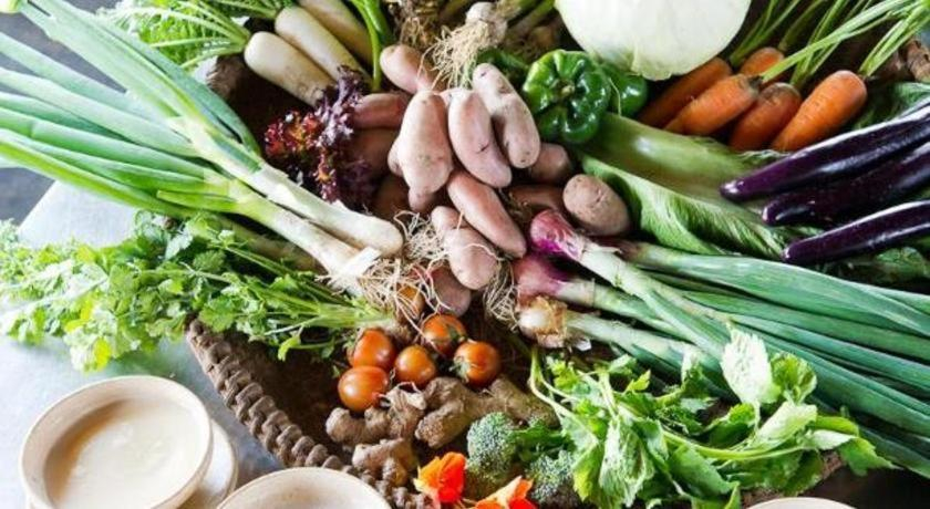 Food & Drinks 5, Hananoie - A Permaculture Resort, Gandaki