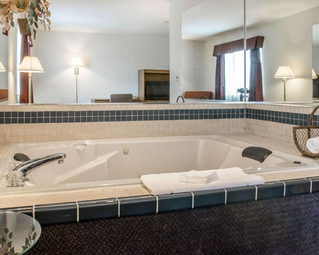 Bathroom, Quality Inn Hudsonville South, Ottawa