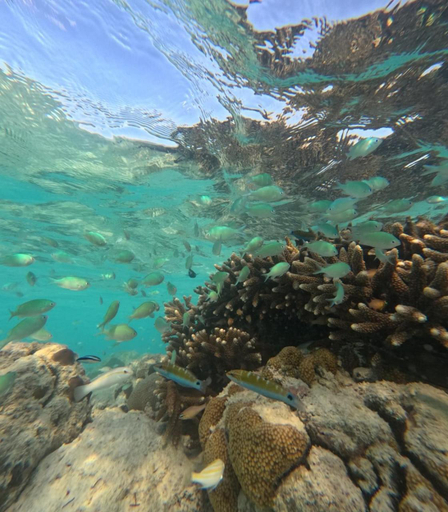5, Praveg Atoll's Thinnakara Lakshadweep, Lakshadweep