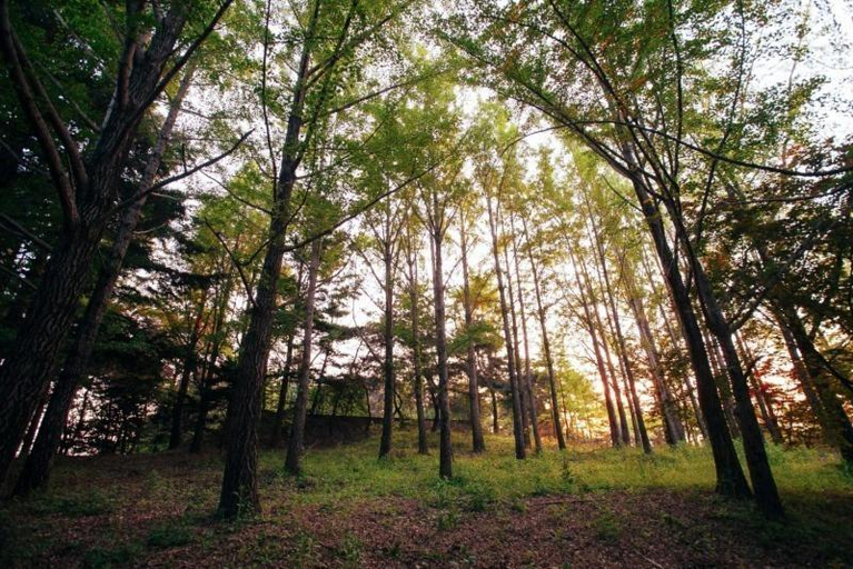 Others 4, Yeoju Majorael Glamping Resort, Yeoju