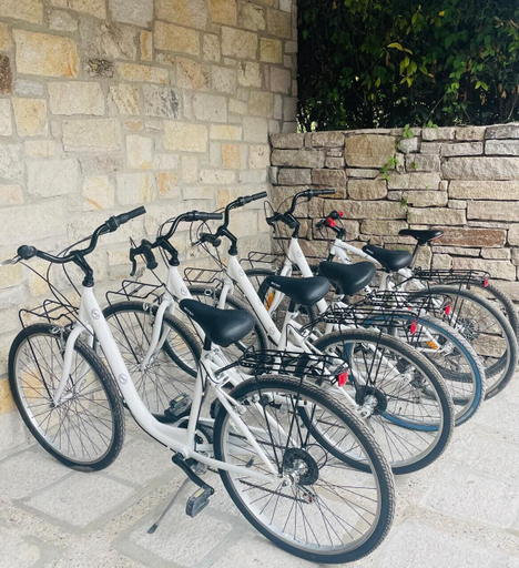 Bicycling, Hotel Viñedos San Lucas, Allende