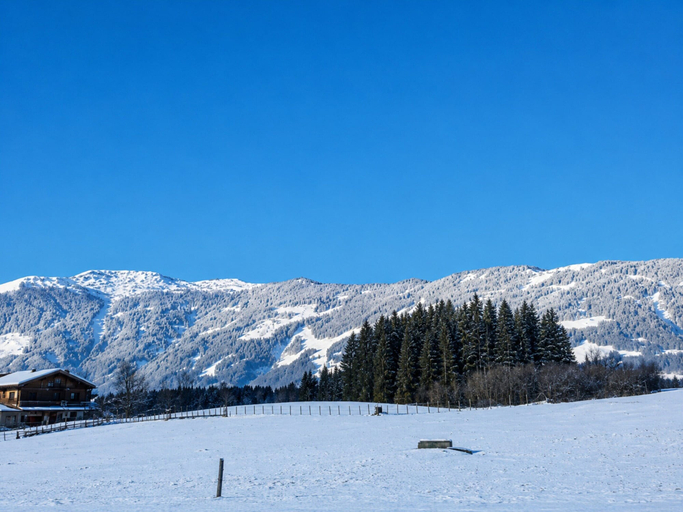 View from property 2, Holiday apartment on a farm with outdoor whirlpool, Zell am See