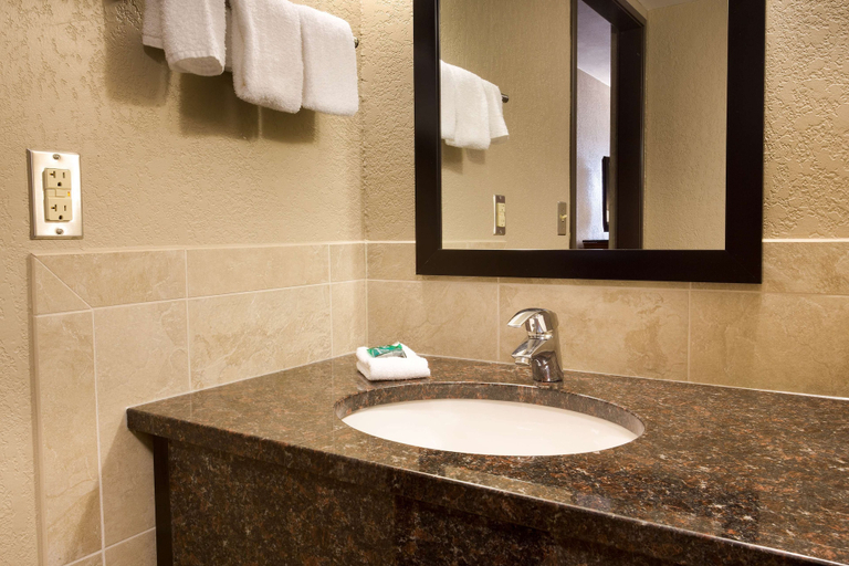 Bathroom 4, Drury Inn & Suites Austin North, Travis