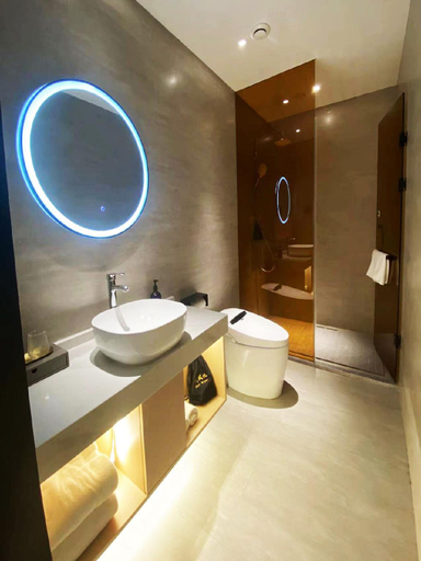 Bathroom 3, Starway Hotel Chengde Xinglong West Railway Station, Chengde