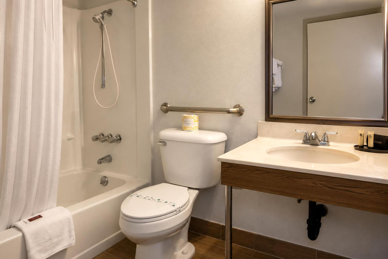 Bathroom 4, Midtown Motel Burlington Near Hwy 34, Des Moines
