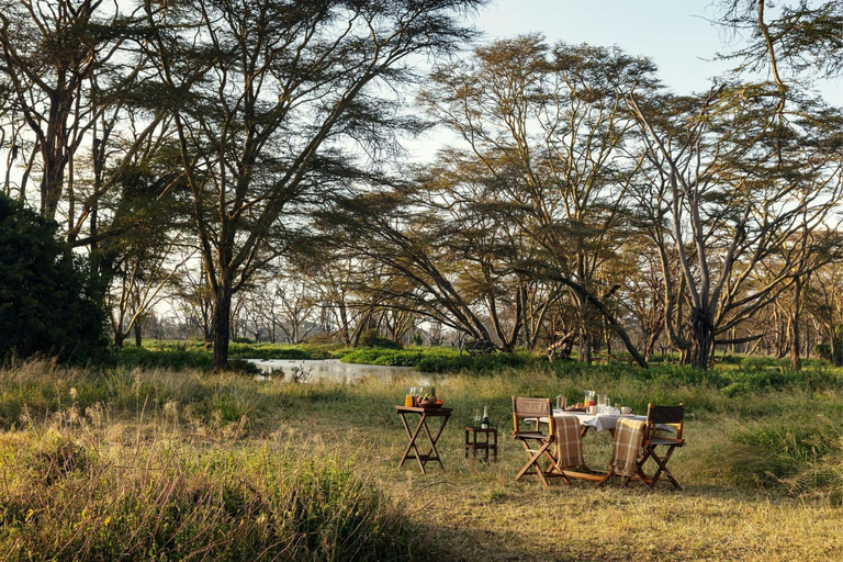 Food and beverages 3, JW Marriott Mount Kenya Rhino Reserve Safari Camp, Laikipia East