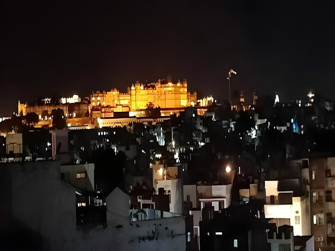 Others 4, Hotel Palace View Udaipur, Udaipur