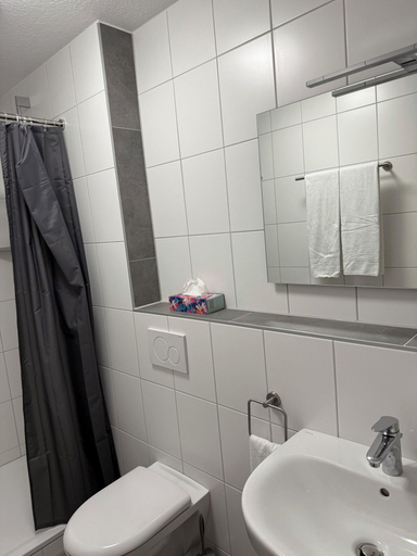 Bathroom 4, Pension Im Wirtshaus Himberg, Rhein-Sieg-Kreis