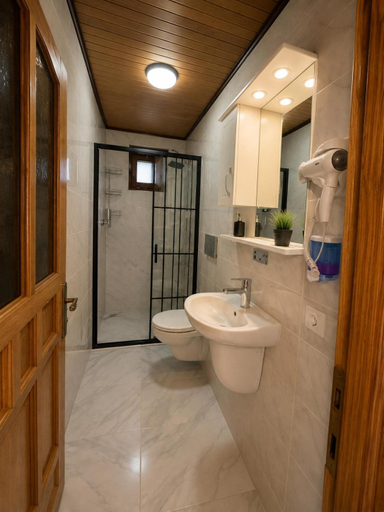 Bathroom 3, Bes Evler Apart, Çaykara