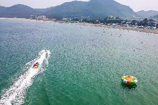 Others 1, Majore 2, Pohang