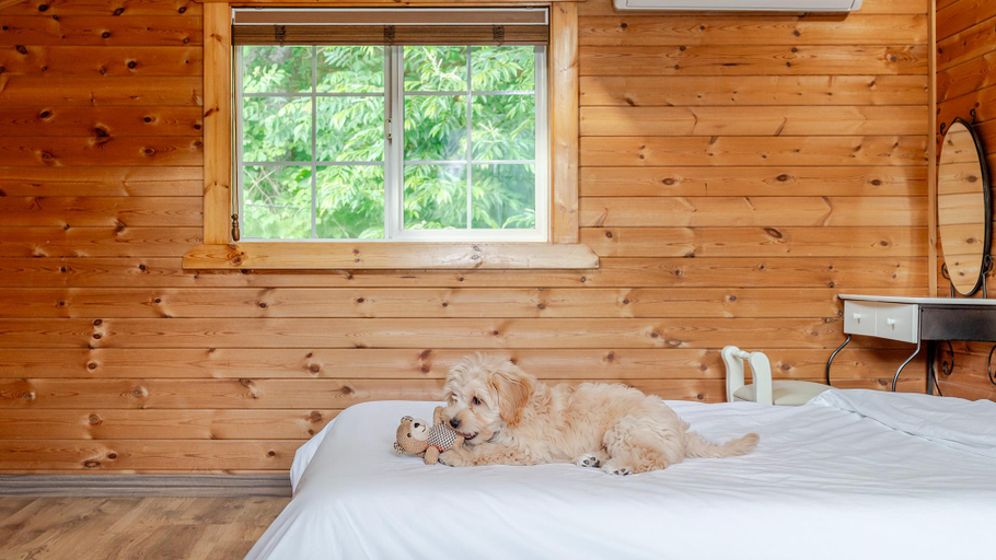 Bedroom 3, Gapyeong Yellowstone Pet-Friendly Pensio, Gapyeong