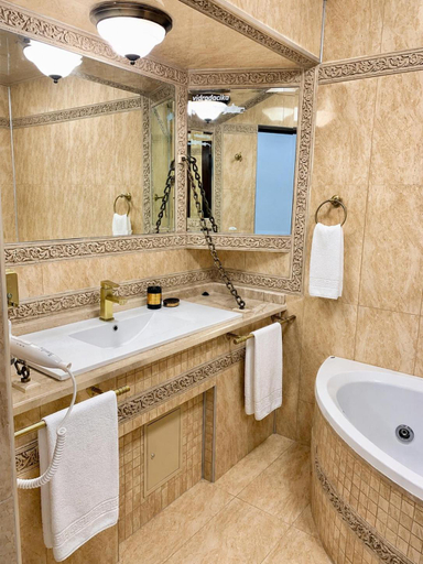 Bathroom 4, Vidra Dacica, Vidra