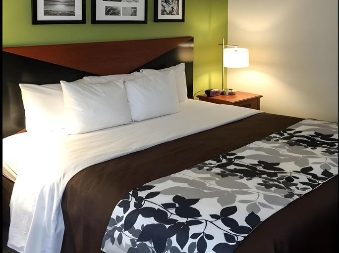 Others 2, Sleep Inn & Suites Auburn Campus Area I-85, Lee
